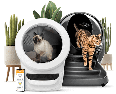 litter robot black friday