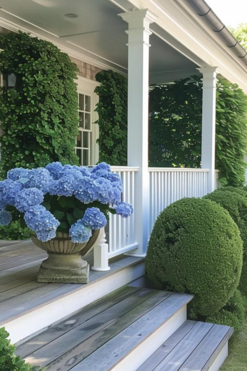 Front porch with blue hydrangeas