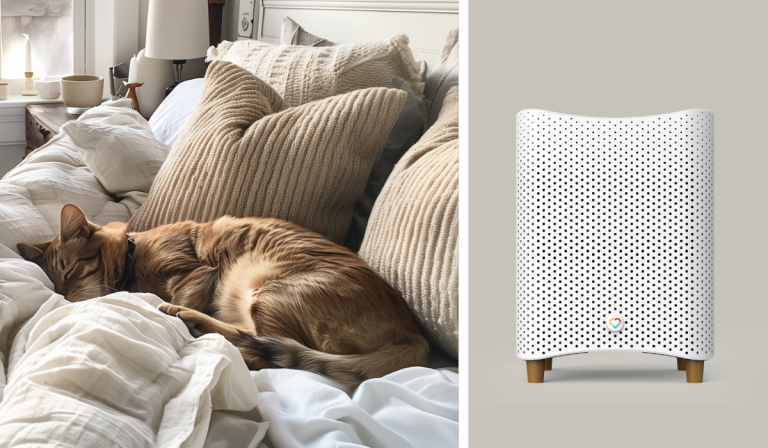 cat sleeps on bed beside Mila air purifier review