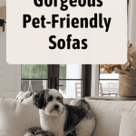 These are the best pet-friendly sofas for your living room