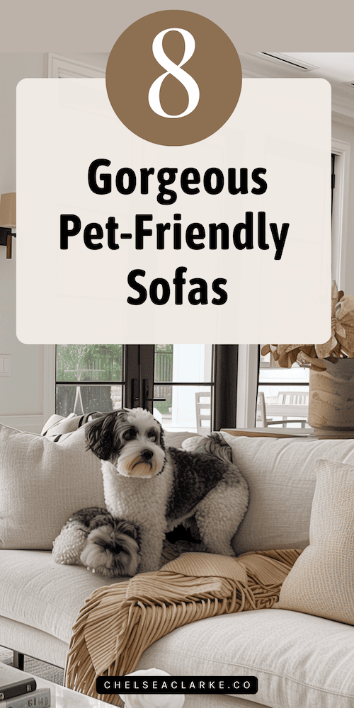 These are the best pet-friendly sofas for your living room