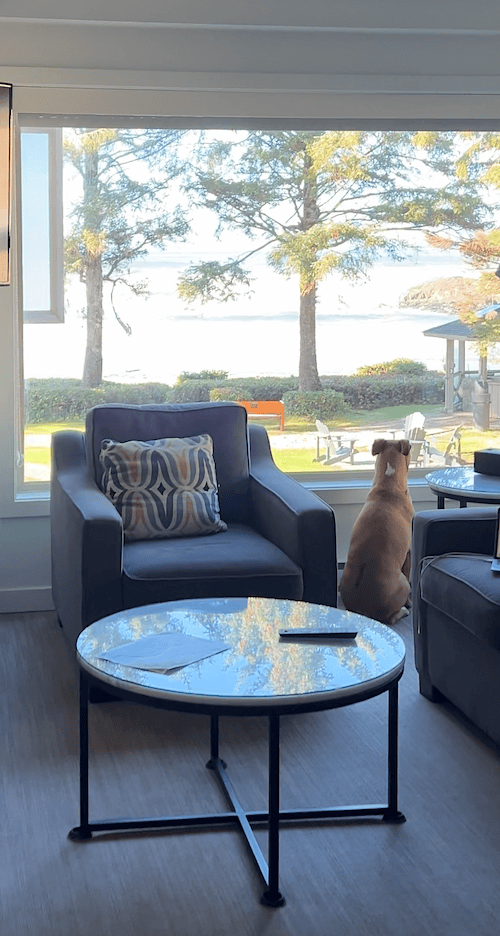 view from the bed at Pacific Sands Beach Resort Review_lodge suite