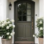 modern cottage front door