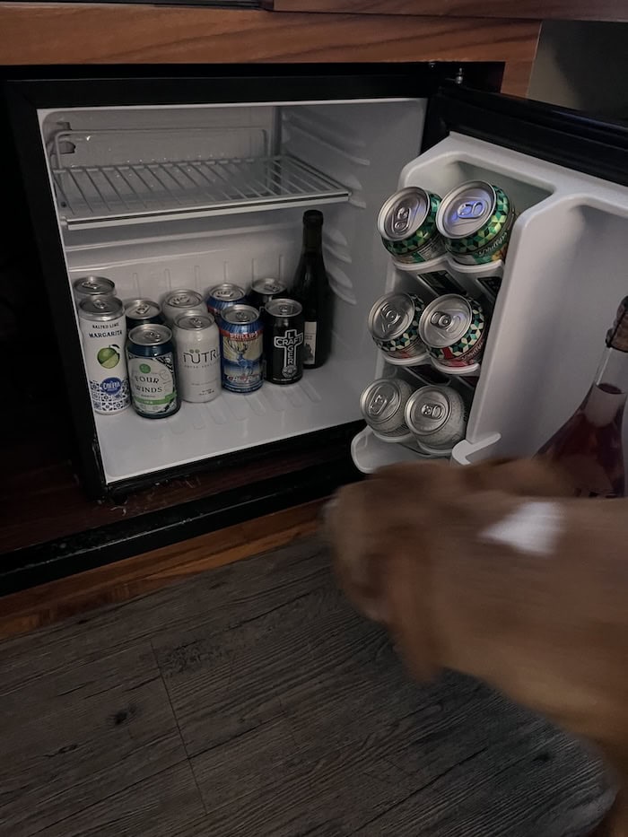 dog looks inside the mini bar in hotel room