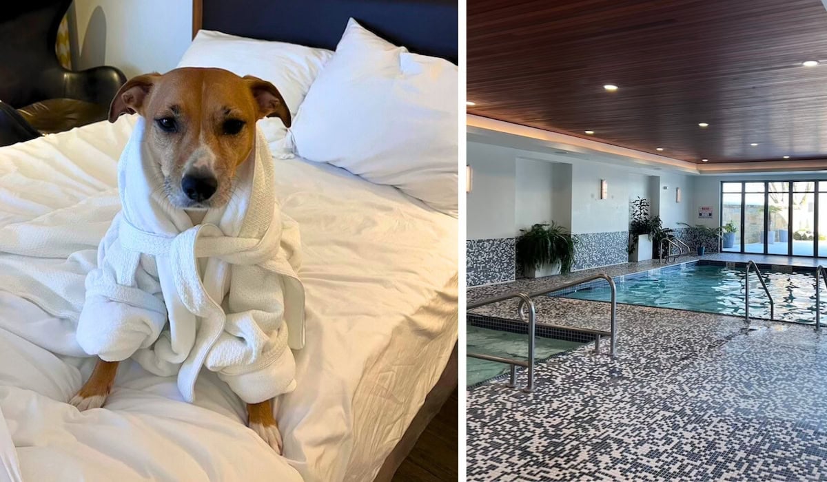 Qualicum Beach Inn review pet-friendly hotel parksville