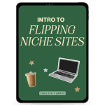 intro to flipping niche sites